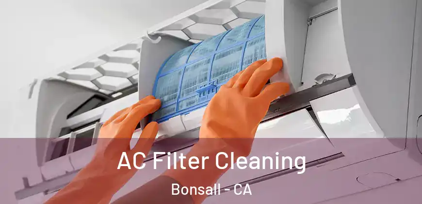 AC Filter Cleaning Bonsall - CA